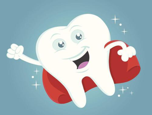 牙齿的生长过程 牙齿的生长过程